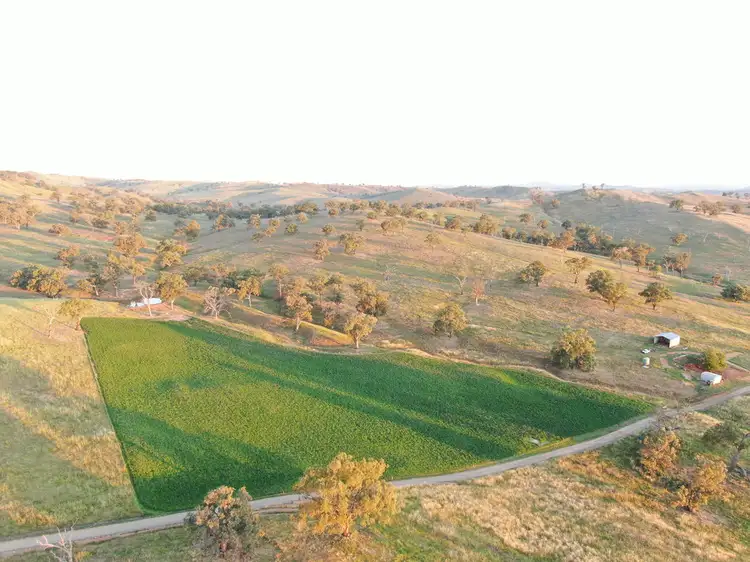 Main view of Homely rural property listing, 5 Oakhills Road (Nangus), Gundagai NSW 2722
