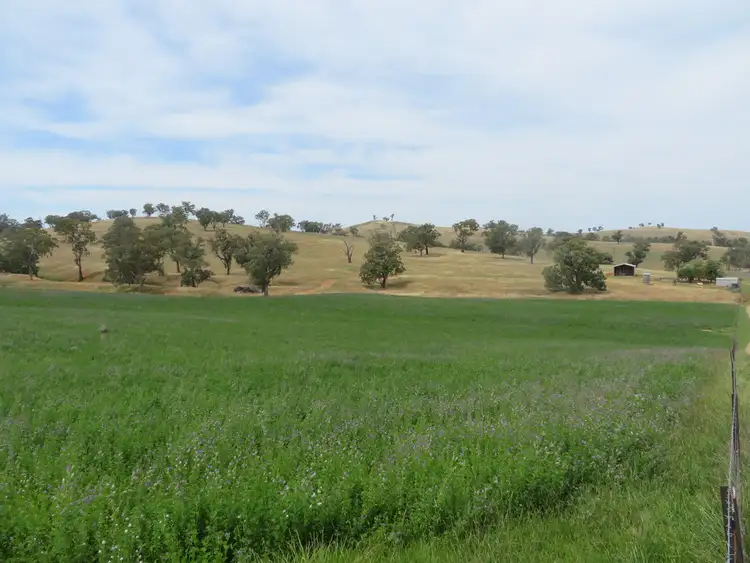 Second view of Homely rural property listing, 5 Oakhills Road (Nangus), Gundagai NSW 2722