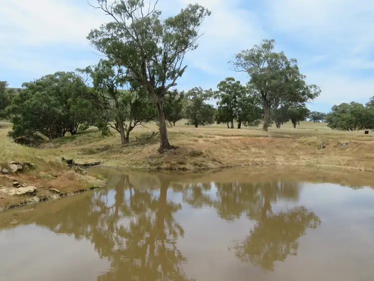Third view of Homely rural property listing, 5 Oakhills Road (Nangus), Gundagai NSW 2722