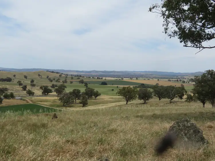 Fourth view of Homely rural property listing, 5 Oakhills Road (Nangus), Gundagai NSW 2722