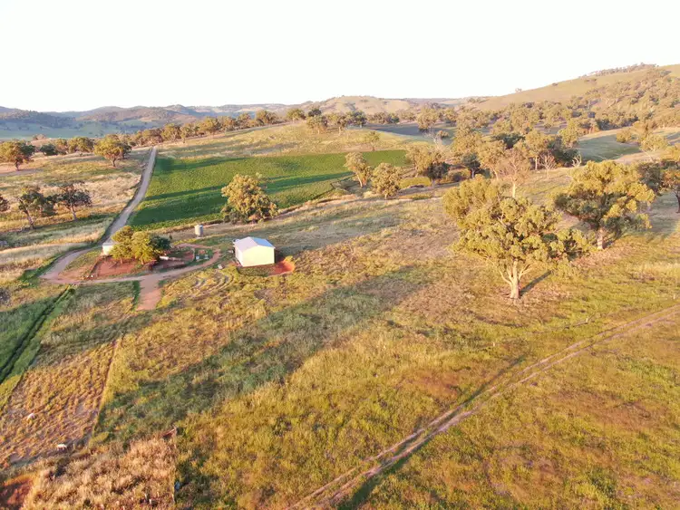 Seventh view of Homely rural property listing, 5 Oakhills Road (Nangus), Gundagai NSW 2722