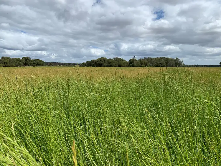 Main view of Homely rural property listing, Lot 284 Brilliant Road, The Plains WA 6237