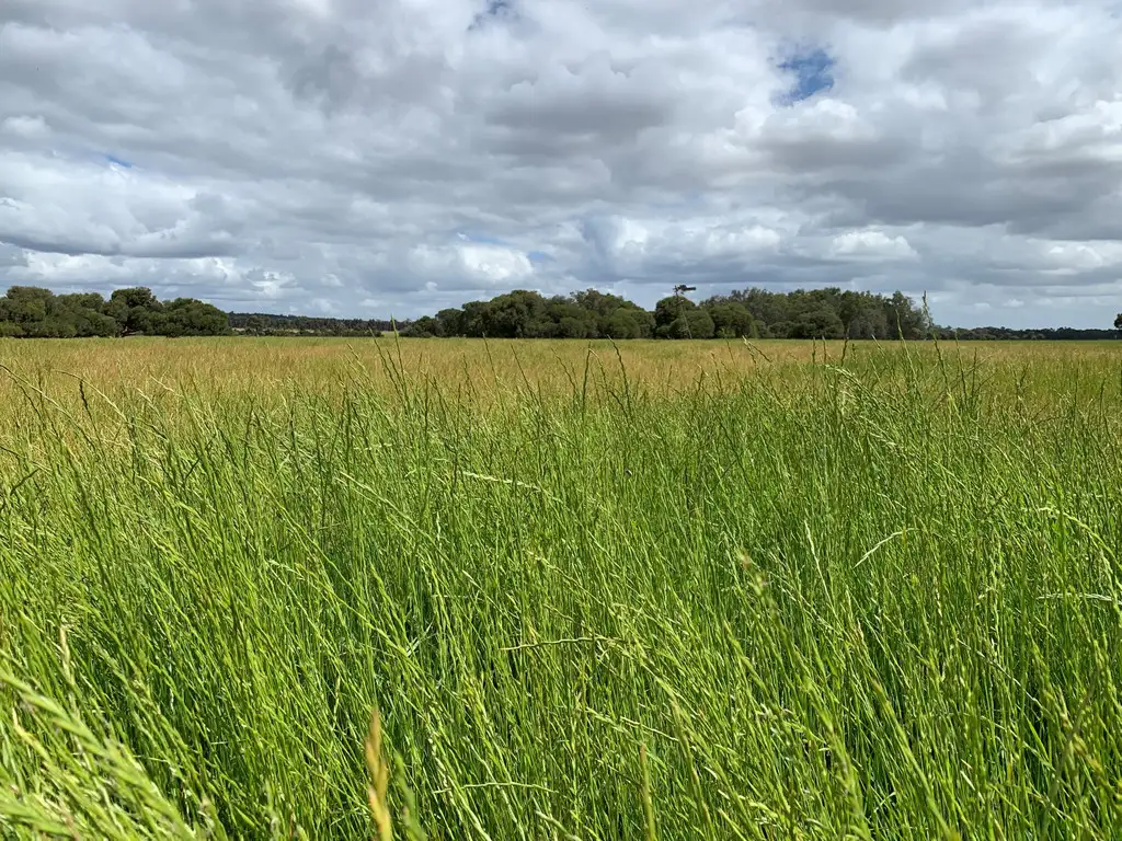Main view of Homely rural property listing, Lot 284 Brilliant Road, The Plains WA 6237