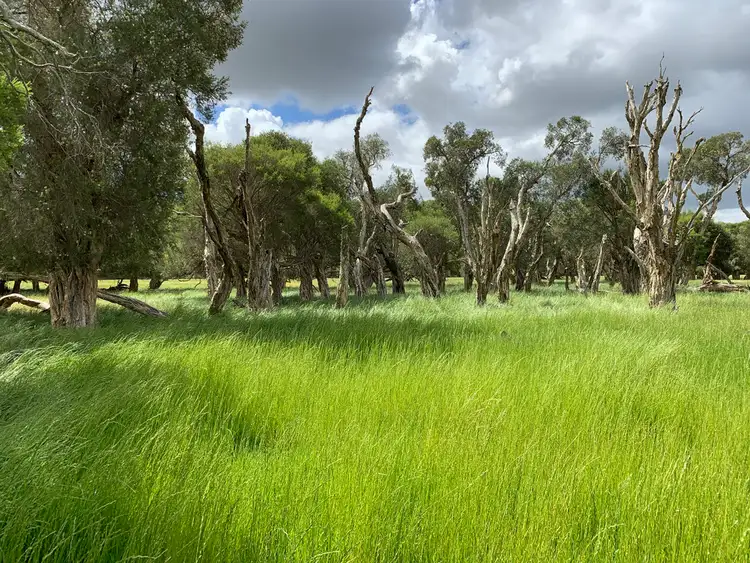 Second view of Homely rural property listing, Lot 284 Brilliant Road, The Plains WA 6237