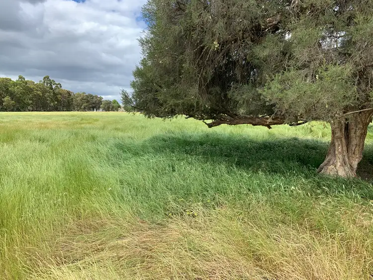 Fourth view of Homely rural property listing, Lot 284 Brilliant Road, The Plains WA 6237