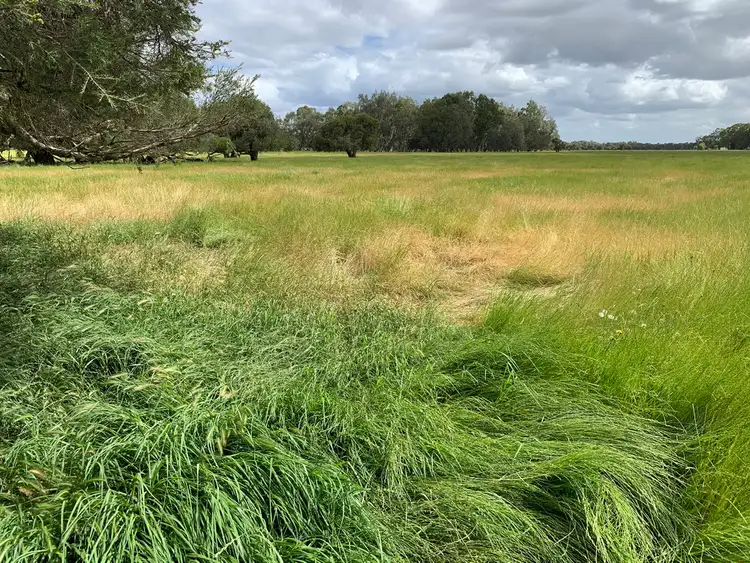 Fifth view of Homely rural property listing, Lot 284 Brilliant Road, The Plains WA 6237