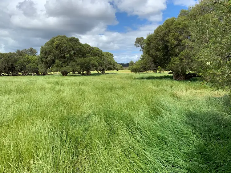 Sixth view of Homely rural property listing, Lot 284 Brilliant Road, The Plains WA 6237