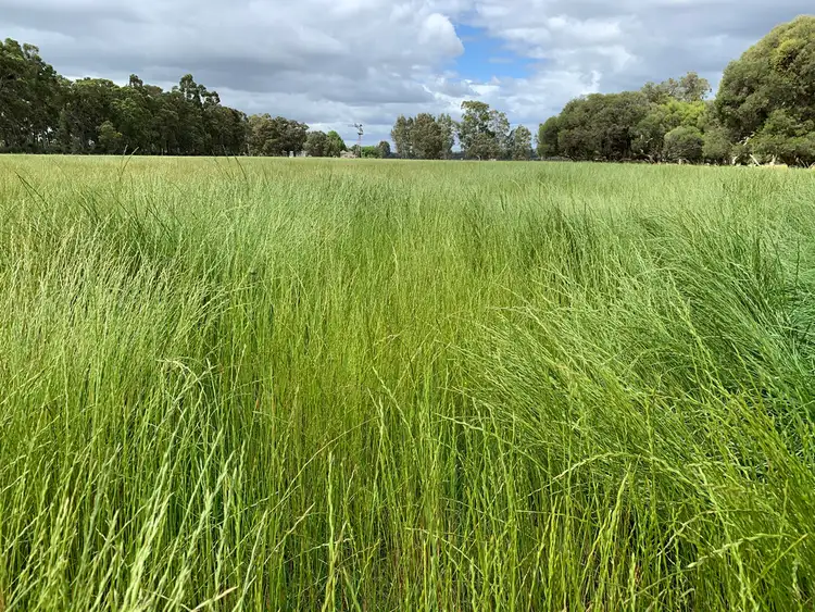 Seventh view of Homely rural property listing, Lot 284 Brilliant Road, The Plains WA 6237