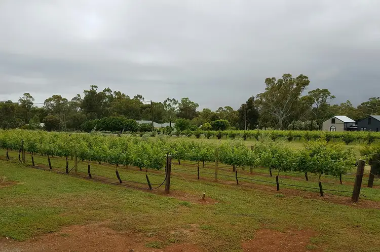 Lot 40 KING STREET, Mintaro SA 5415