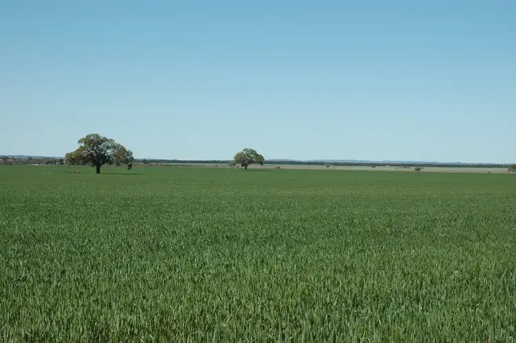 Third view of Homely rural property listing, 4779 North West Road, Dandaragan WA 6507