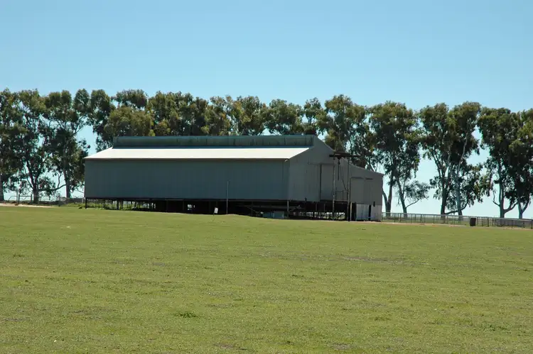 Fifth view of Homely rural property listing, 4779 North West Road, Dandaragan WA 6507