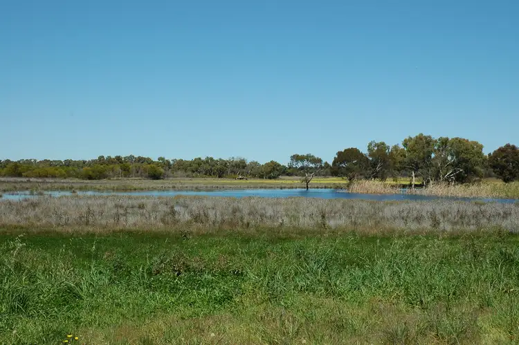 Seventh view of Homely rural property listing, 4779 North West Road, Dandaragan WA 6507