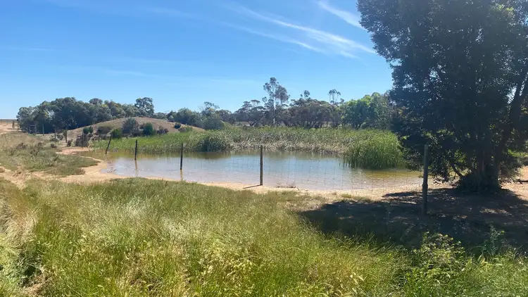 Second view of Homely rural property listing, 270-272, 250 Ellikers Lane, Cambrai SA 5353