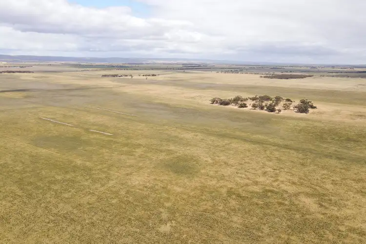 Sixth view of Homely rural property listing, 270-272, 250 Ellikers Lane, Cambrai SA 5353