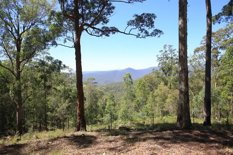2621 Blacksmith Shop Road, Newton Boyd NSW 2370