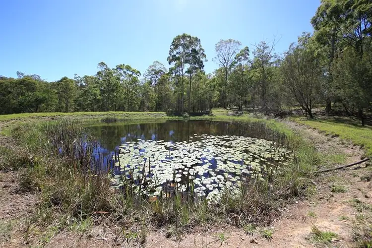 Third view of Homely rural property listing, 2621 Blacksmith Shop Road, Newton Boyd NSW 2370