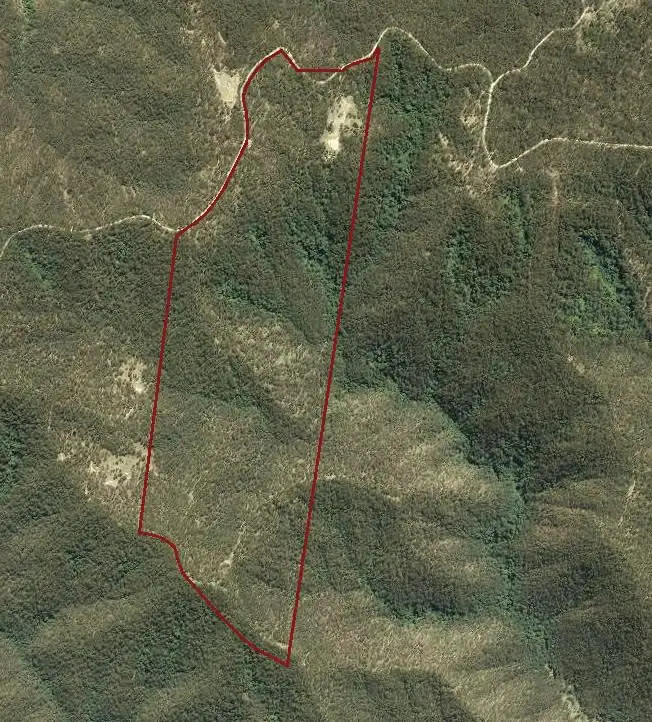 Fourth view of Homely rural property listing, 2621 Blacksmith Shop Road, Newton Boyd NSW 2370