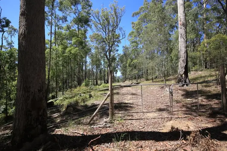 Seventh view of Homely rural property listing, 2621 Blacksmith Shop Road, Newton Boyd NSW 2370