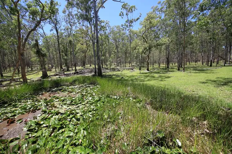 Main view of Homely rural property listing, 3001 Blacksmith Shop Road, Newton Boyd NSW 2370