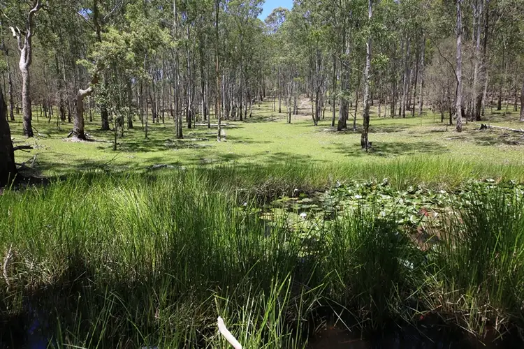 Sixth view of Homely rural property listing, 3001 Blacksmith Shop Road, Newton Boyd NSW 2370