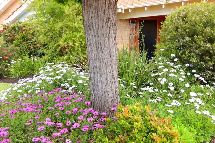 Third view of Homely house listing, 11 Casuarina Court, Canning Vale WA 6155