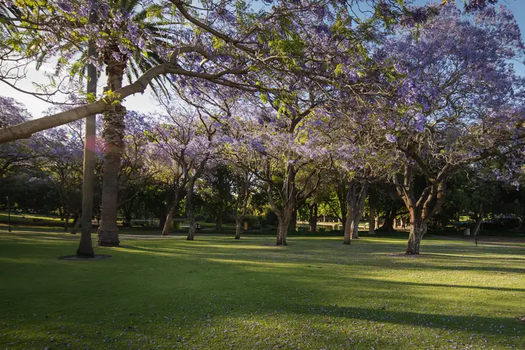 Third view of Homely house listing, 26/144 Lincoln Street, Highgate WA 6003