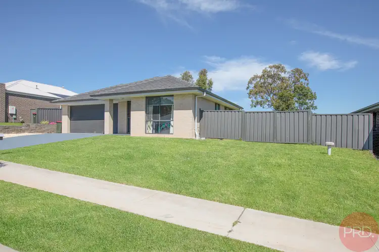 Second view of Homely house listing, 41 Radiant Avenue, Bolwarra Heights NSW 2320