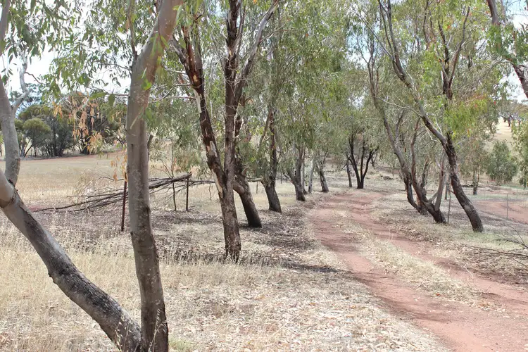 Fourth view of Homely rural property listing, 1562 (Lot 101) Irishtown Rd, Buckland via, Northam WA 6401