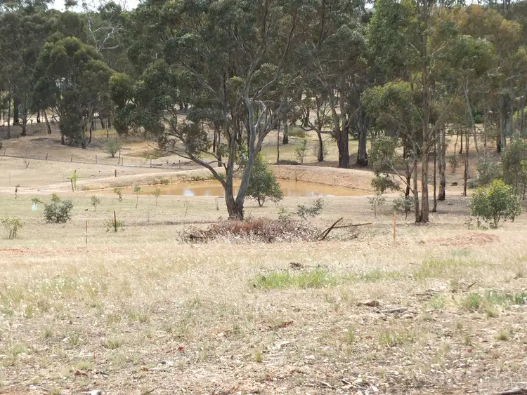 Seventh view of Homely rural property listing, 71 North Street, Avoca VIC 3467