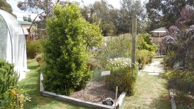 Fourth view of Homely house listing, 5 Taylor Street, Tambellup WA 6320