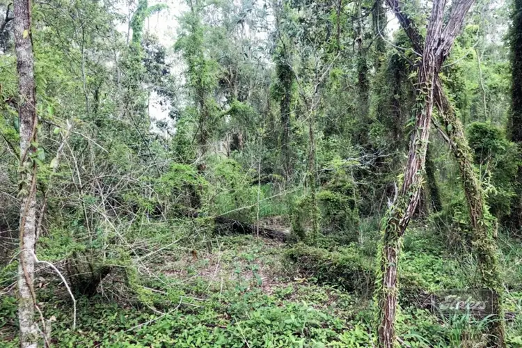 Sixth view of Homely land listing, Lot 64 Settlement Road, Curra QLD 4570