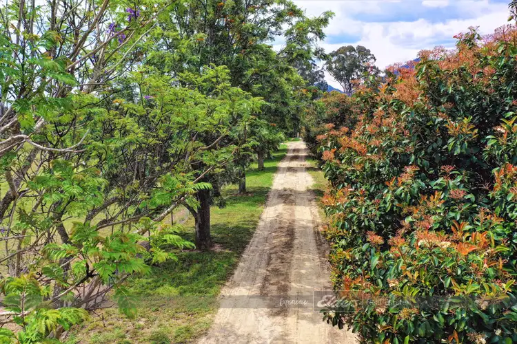 Sixth view of Homely rural property listing, 519 Fairbairns Road, Gloucester NSW 2422