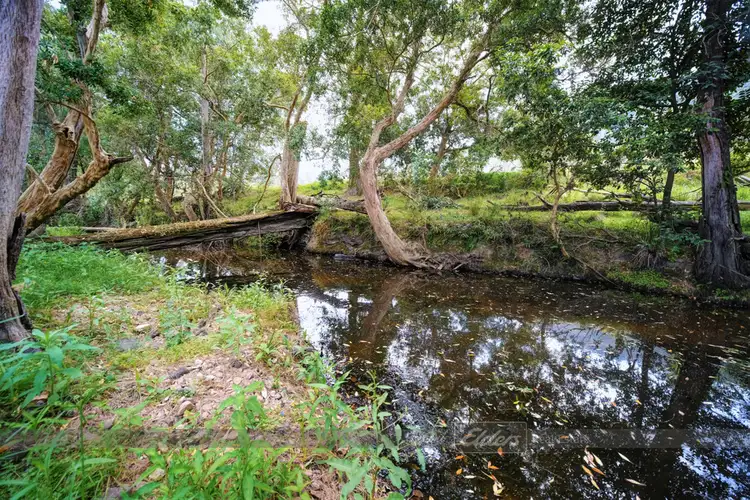 Fourth view of Homely rural property listing, 604 Fairbairns Road, Gloucester NSW 2422