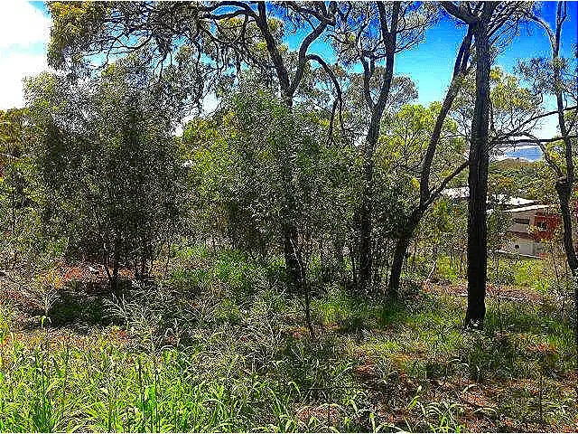 Fifth view of Homely land listing, 11 Webster Crt, Agnes Water QLD 4677