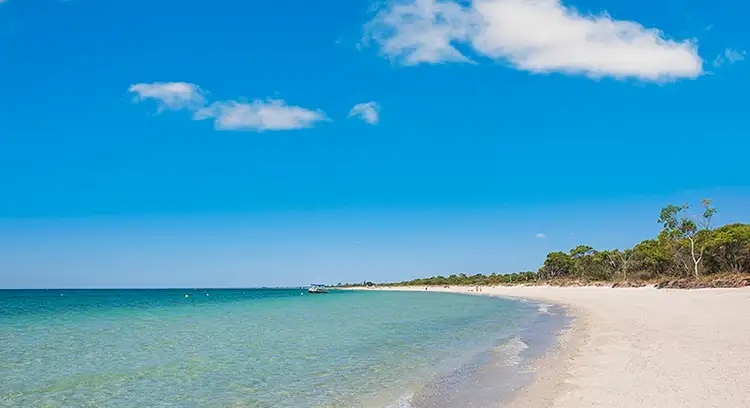 498 Geographe Bay Road (Proposed Lot 9), Abbey WA 6280