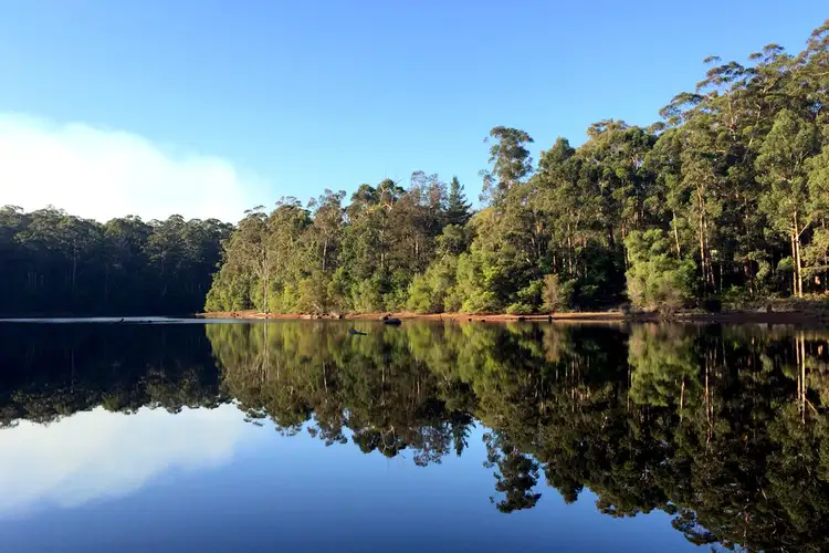LOT 46 KARRI LANE, Quinninup WA 6258