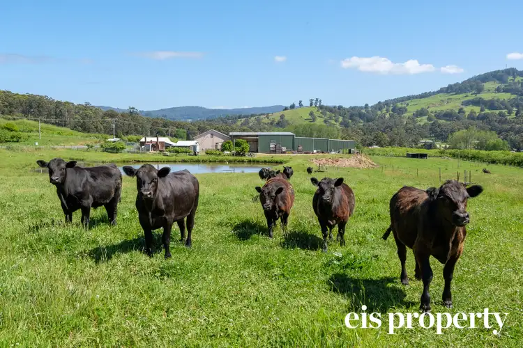 Third view of Homely land listing, 101 Scotts Road, Geeveston TAS 7116