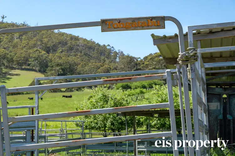 Fourth view of Homely land listing, 101 Scotts Road, Geeveston TAS 7116