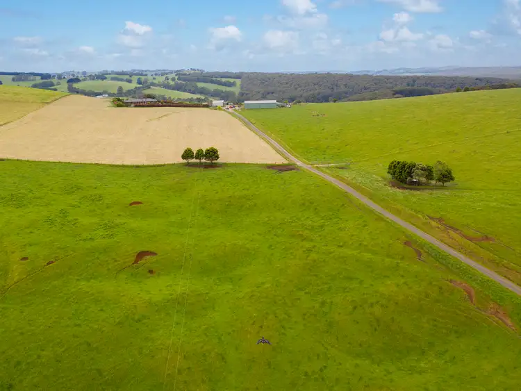 Fifth view of Homely rural property listing, 80 Weymes Road, Mount Eccles VIC 3953