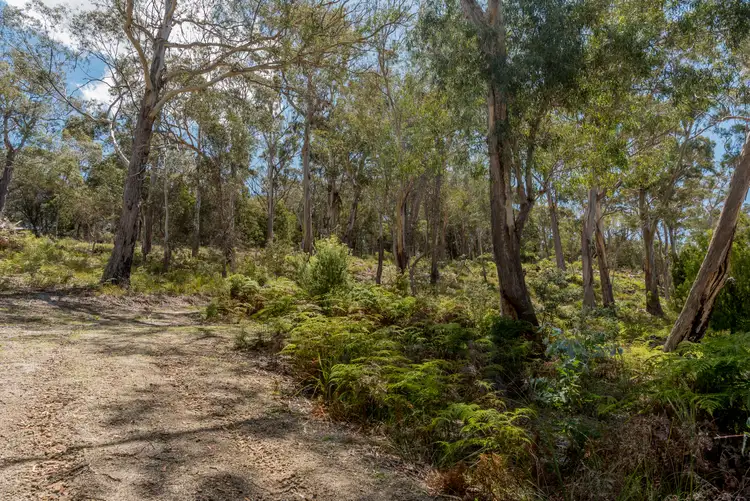 Second view of Homely land listing, 54 Courland Bay Road, Bicheno TAS 7215