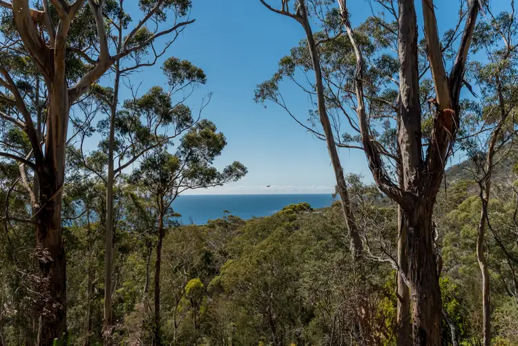 Sixth view of Homely land listing, 54 Courland Bay Road, Bicheno TAS 7215