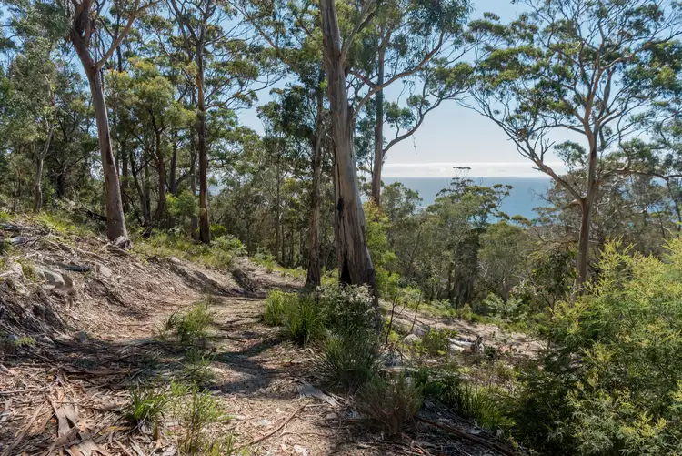 Seventh view of Homely land listing, 54 Courland Bay Road, Bicheno TAS 7215