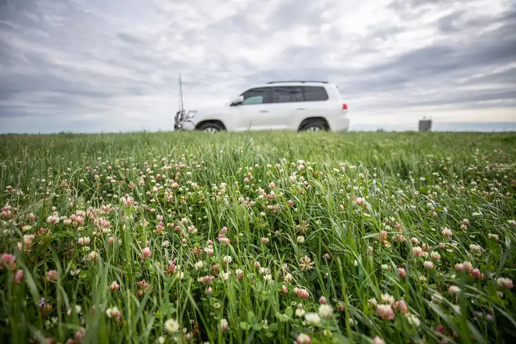 Seventh view of Homely rural property listing, 240 Old Avenue Road, Lucindale SA 5272