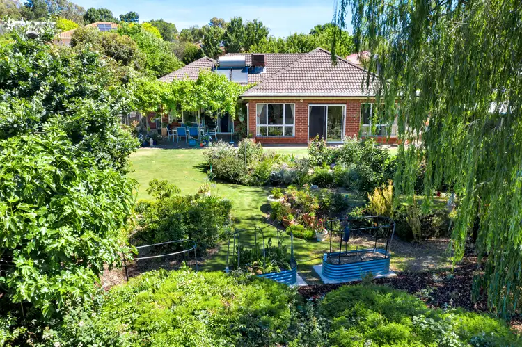 11 Greenfield Court, Willunga SA 5172