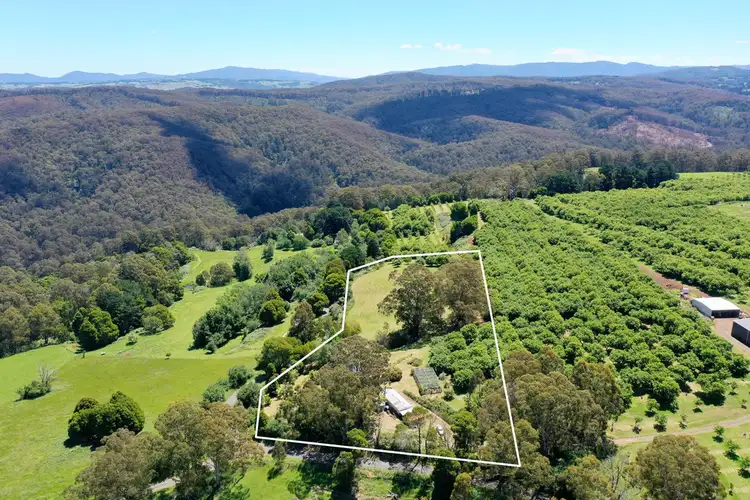 Third view of Homely rural property listing, 261 DUGGAN NORTH ROAD via Fumina, Noojee VIC 3833