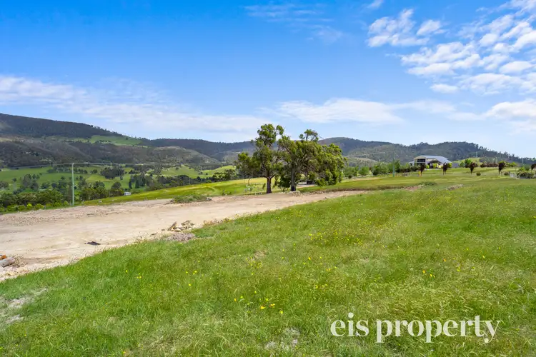 Main view of Homely land listing, 75 Menzies Road, Lachlan TAS 7140
