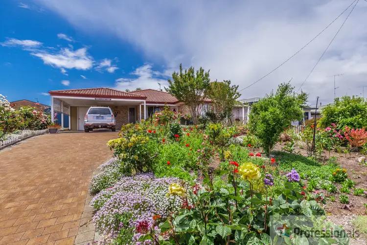 Main view of Homely house listing, 24 Wattle Crescent, Manjimup WA 6258