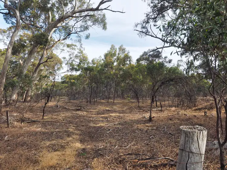 Sixth view of Homely rural property listing, CA31 Scrub Road, Norval VIC 3377