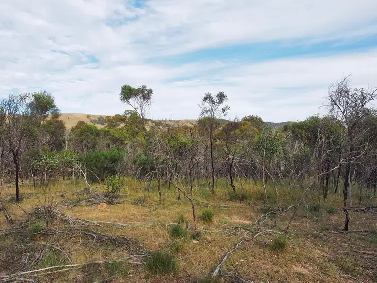 Seventh view of Homely rural property listing, CA31 Scrub Road, Norval VIC 3377