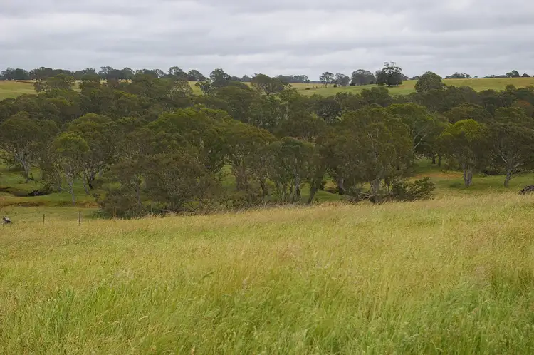Main view of Homely rural property listing, 568 MORRIS ROAD, Wannon VIC 3301